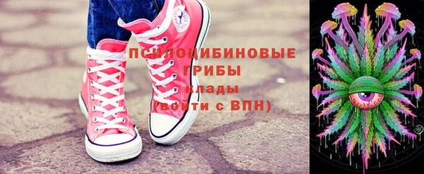 прущие крисы Балахна