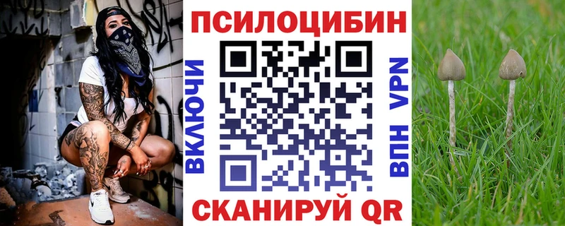 Псилоцибиновые грибы мицелий  Покровск 